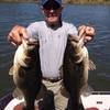 bassbilly